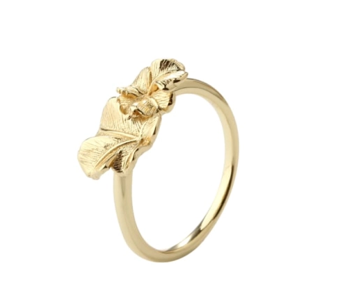 Soul Ring